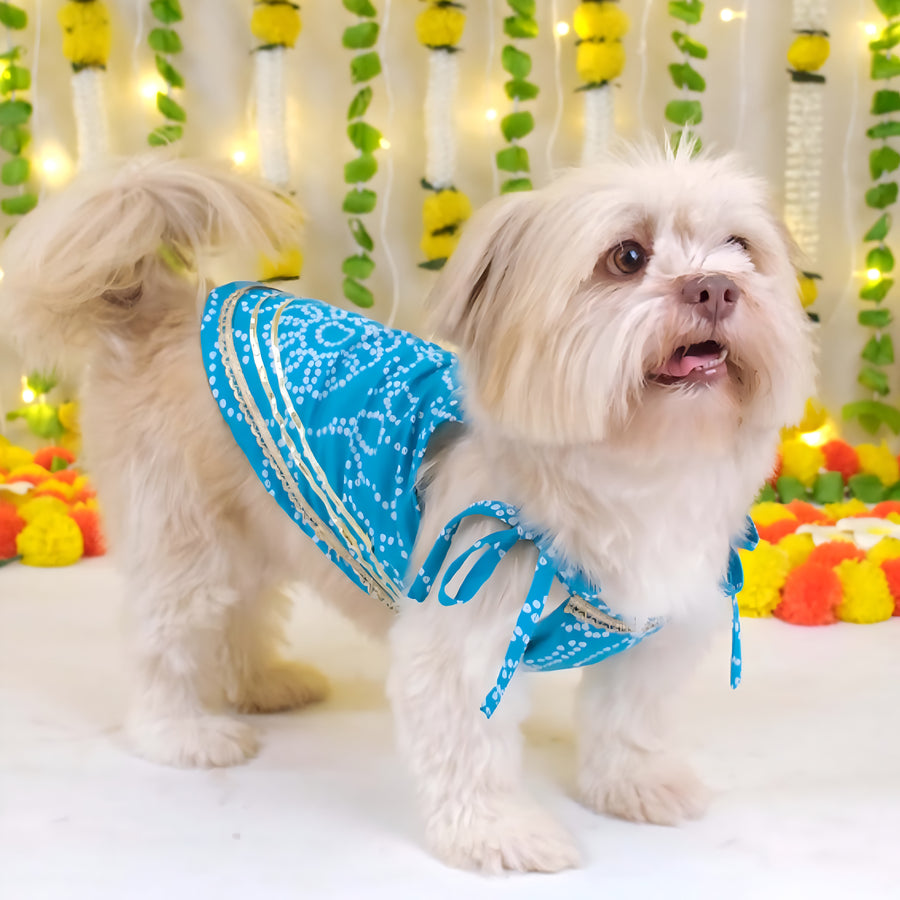 Aasma Bandhani Cotton Dress
