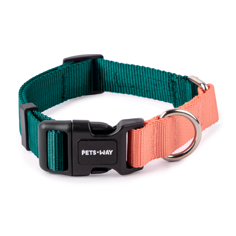 Emerald & Peach - Dual Color Dog Collar