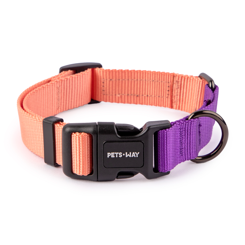 Peach & Amethyst - Dual Color Dog Collar