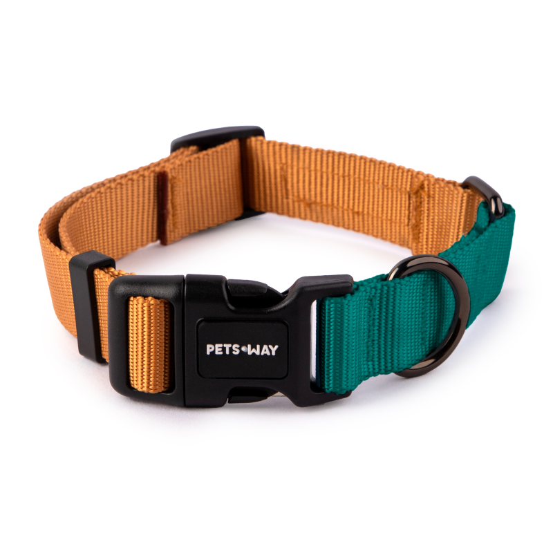 Honey & Emerald - Dual Color Dog Collar