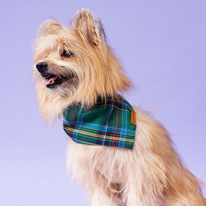 dog wear  Elf Checks Bandana-petsway