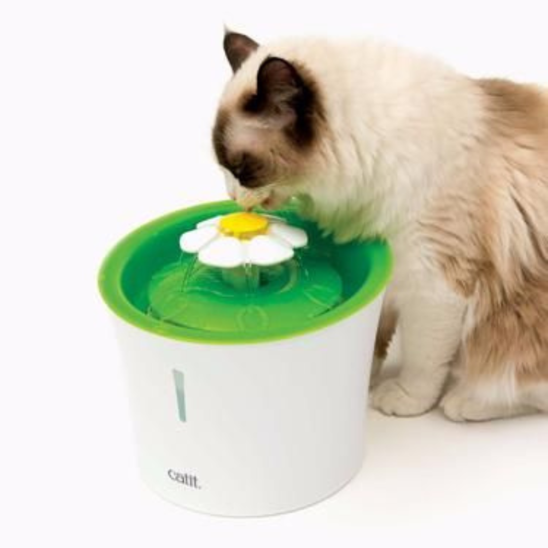 Esthetic cat water fountain