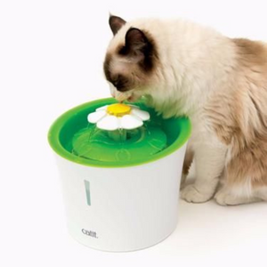 Esthetic cat water fountain