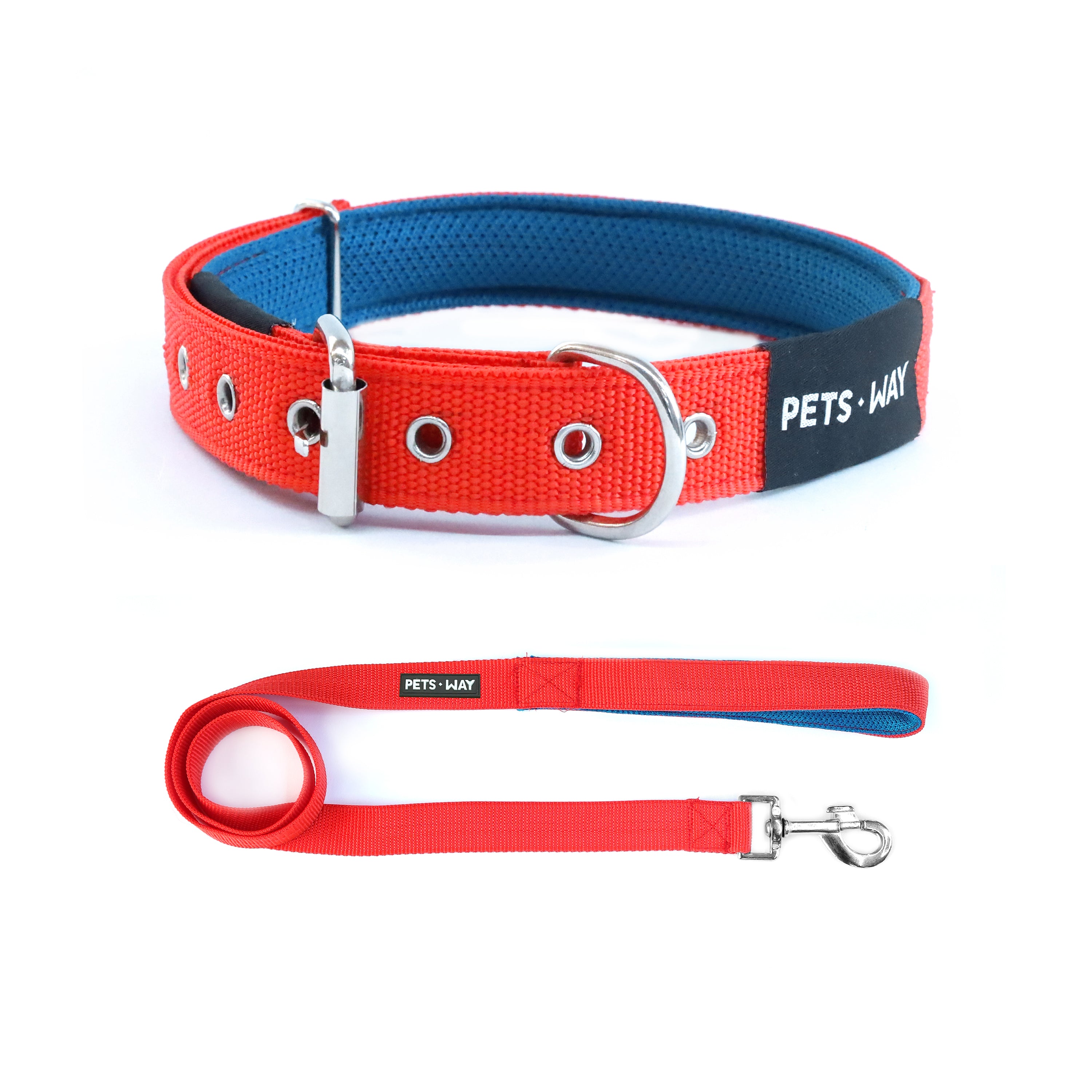 Jam Every Day Dog Collar Leash Set