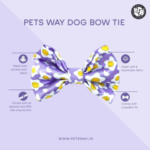 feature image of  printed bow tie-petsway
