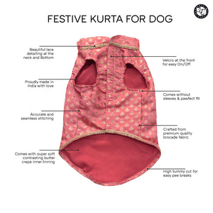 Nawab - Peach Dog kurta