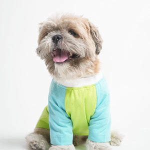 setting dog wear Fern Dog T-Shirt-petsway