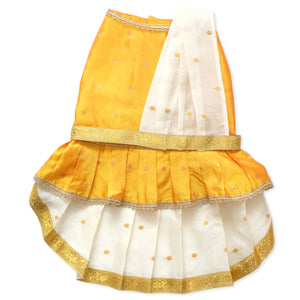 Parikini Dress with Dupatta