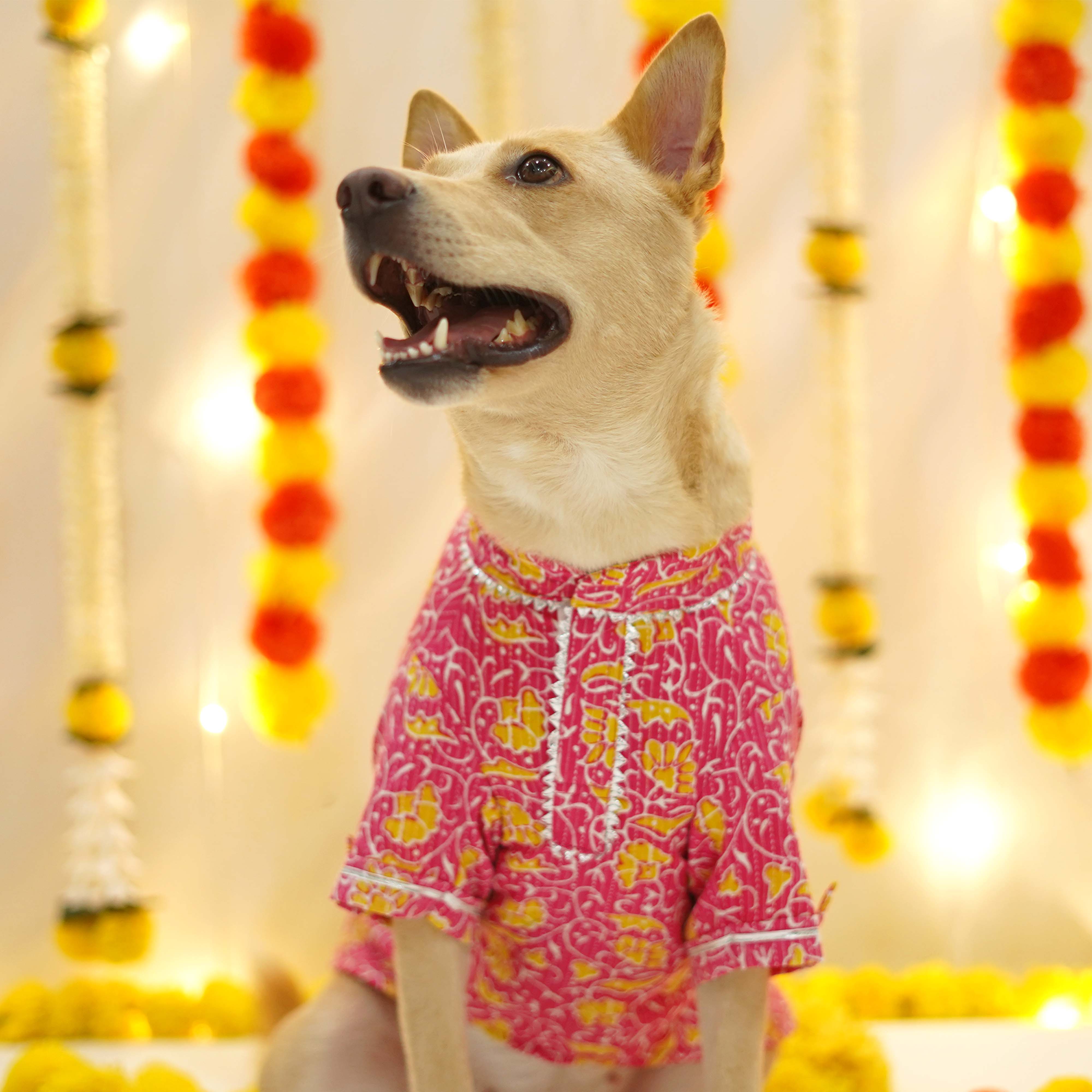Floral Kantha - Fuchsia Dog kurta