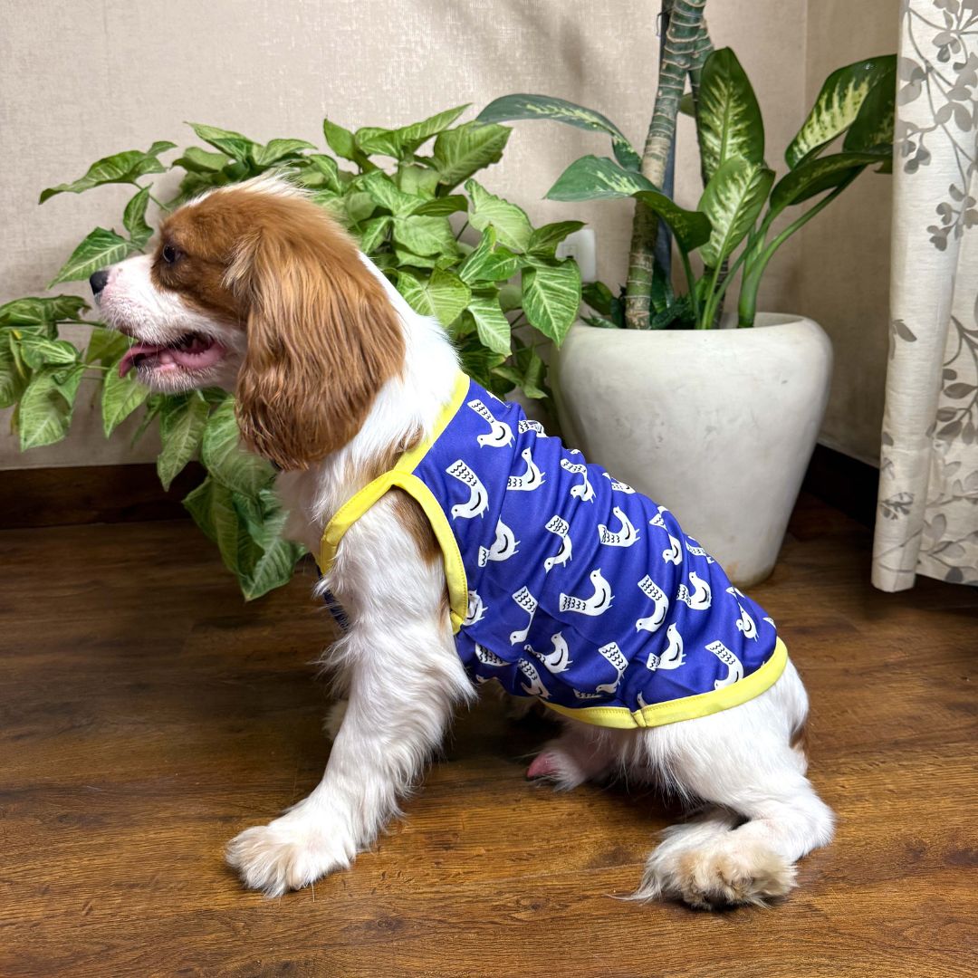 Stlyish Fly high dog vest Petsway