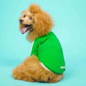 Dive In Stripes- Set of 3 Dog TShirt