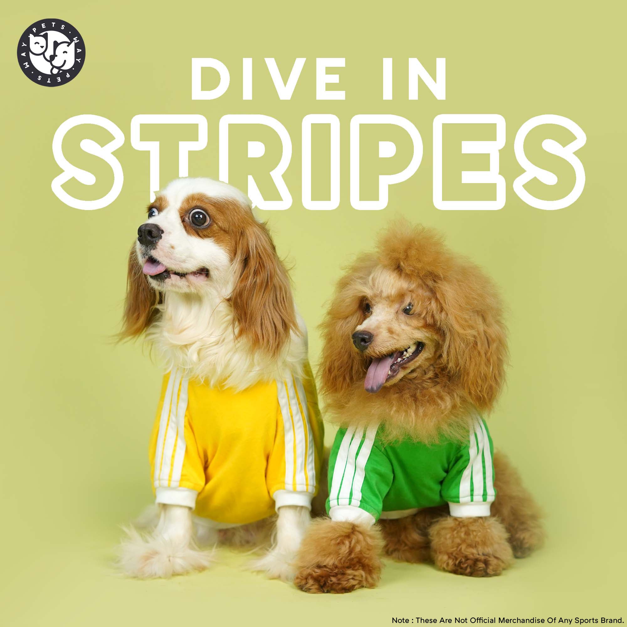 Dive In Stripes- Set of 3 Dog TShirt