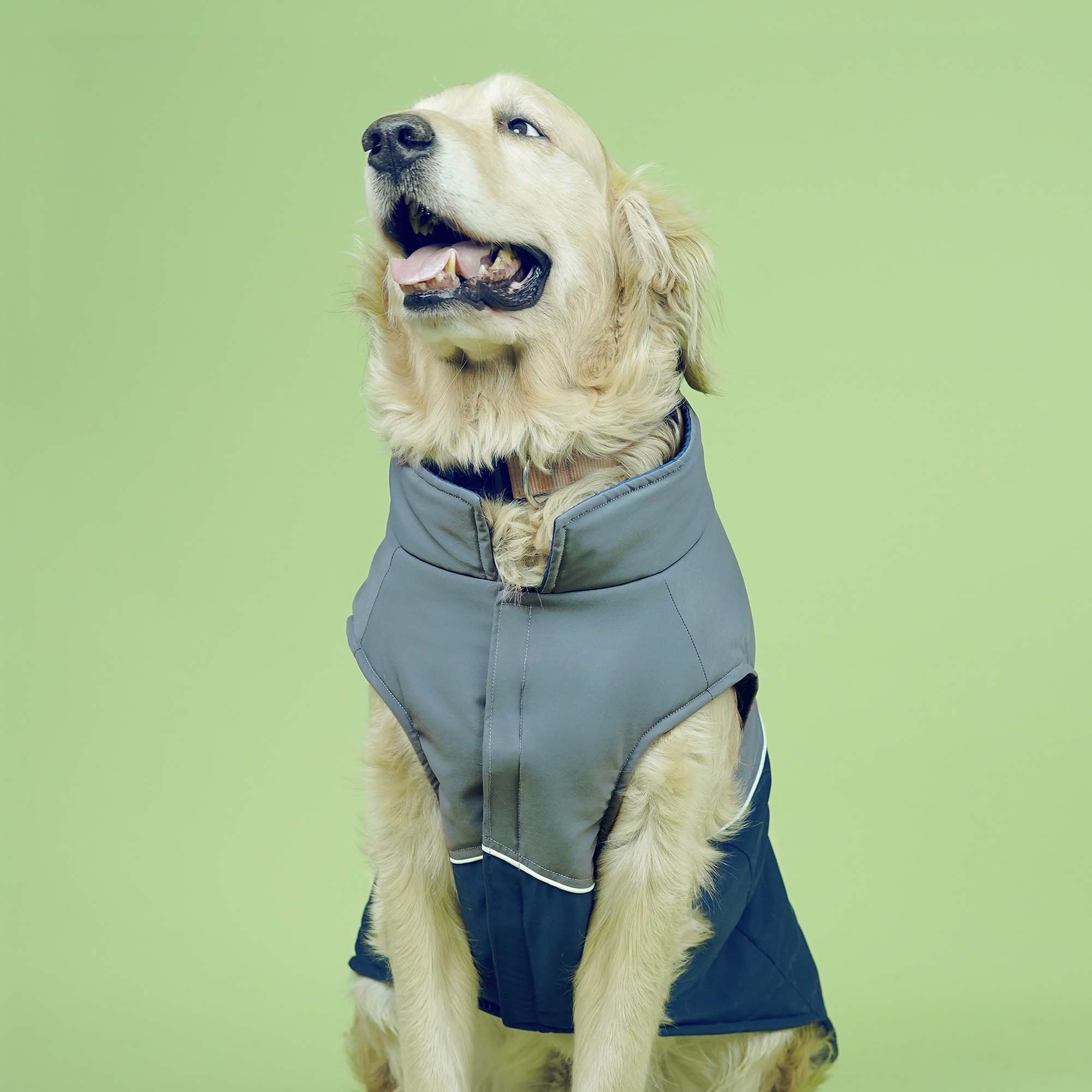 Frost- Navy Dog Jacket