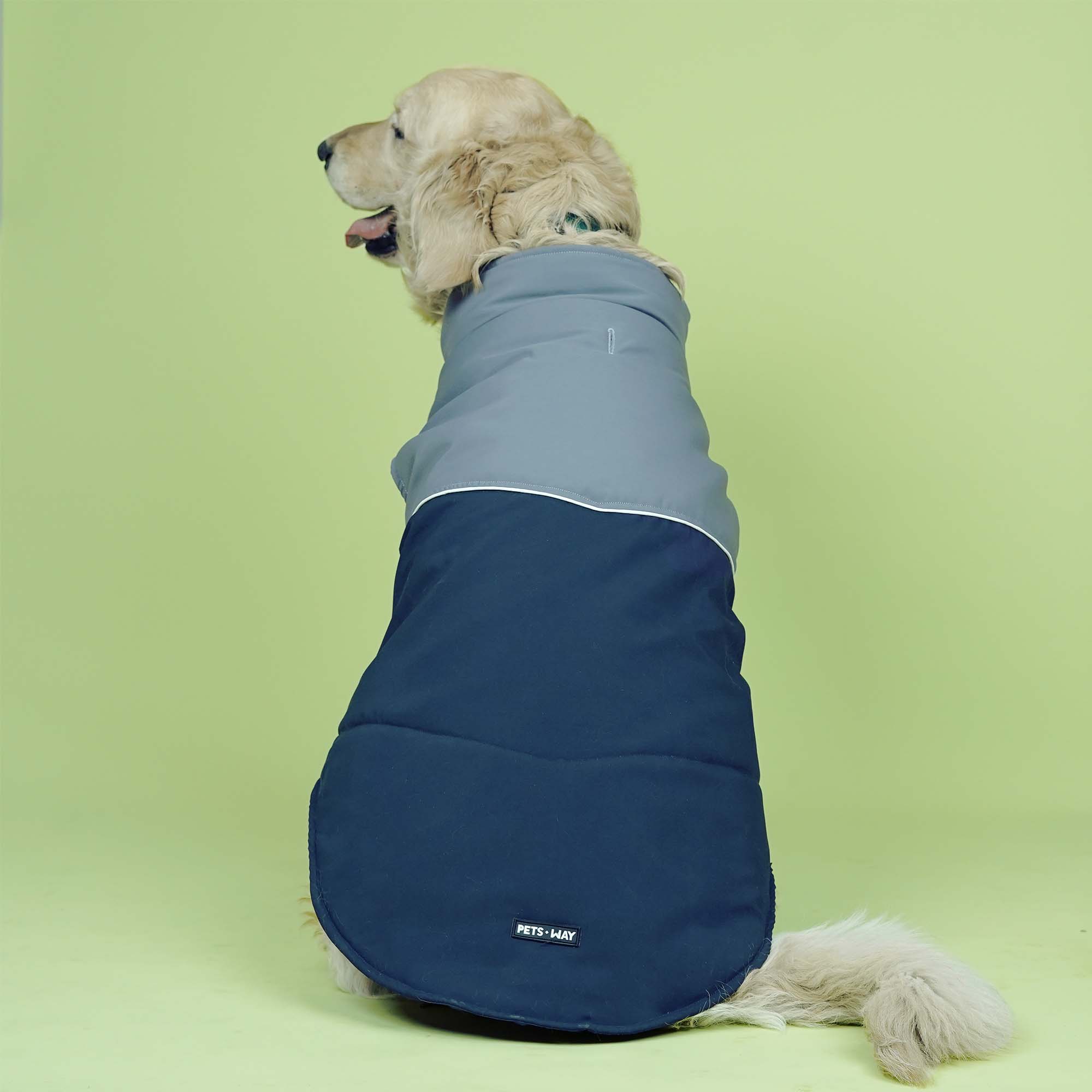 Crazy Frost- Navy Dog Jacket