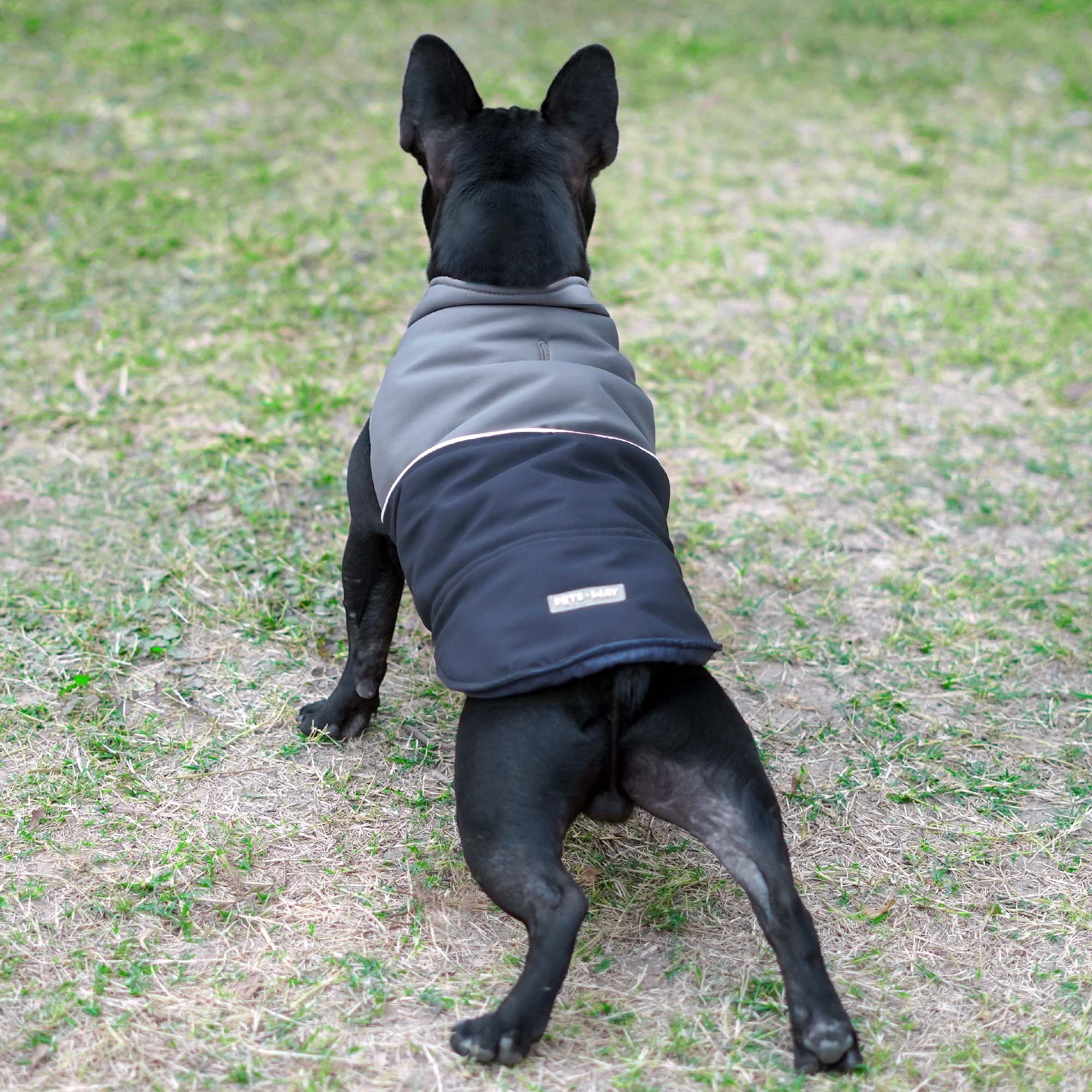 Frost- Navy Dog Jacket