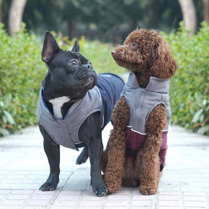 Frost- Navy Dog Jacket