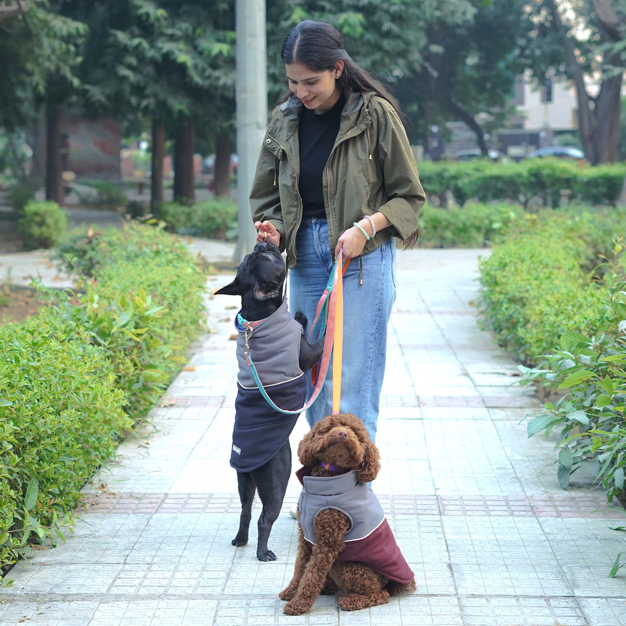 Frost- Navy Dog Jacket