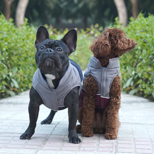 Frost- Navy Dog Jacket