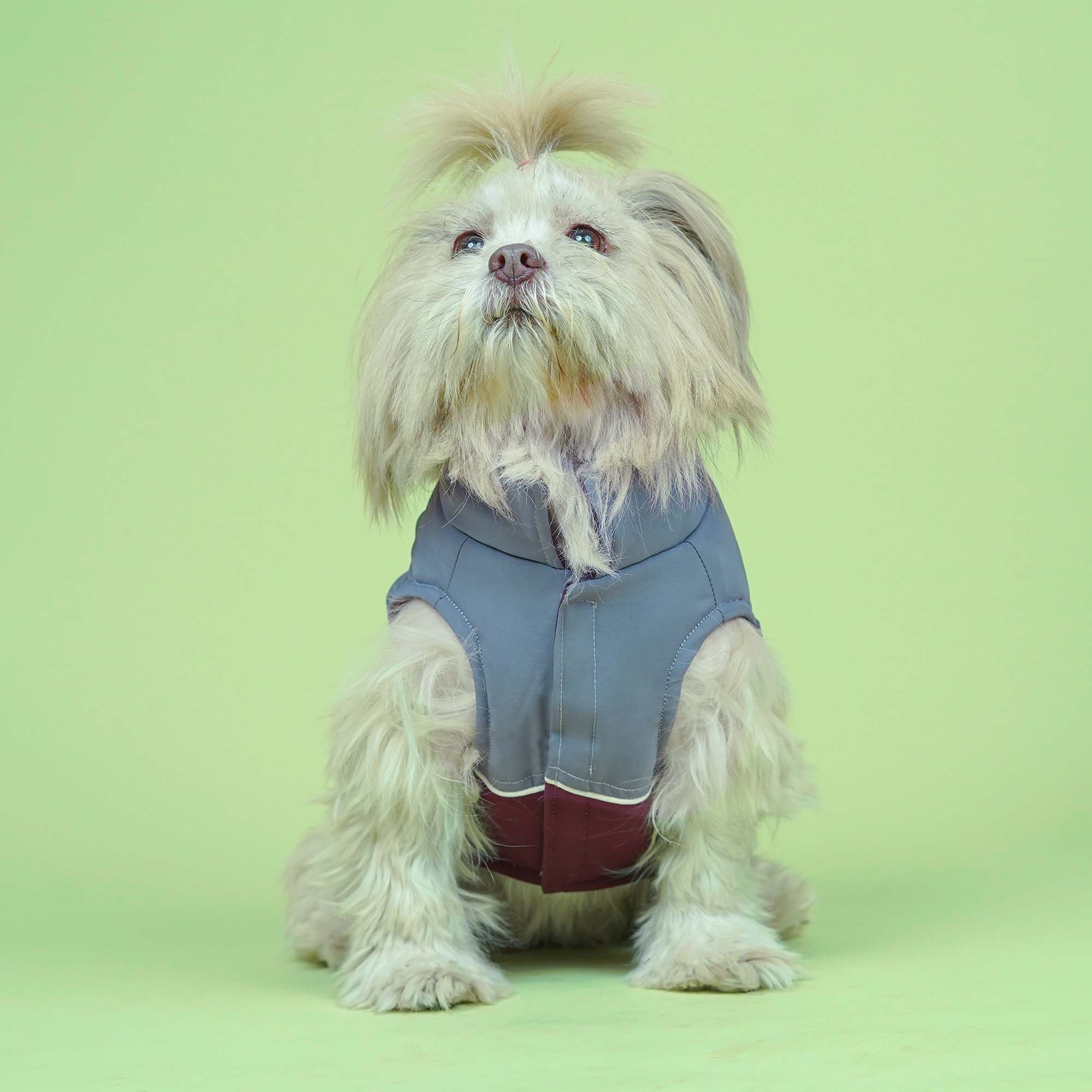 Frost- Wine Dog Jacket