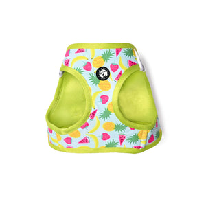 Fruity Full Body Cloud-Fit Harness (Small Breed)