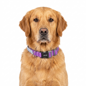 AMETHYST & SKY PRO GRIP COLLAR