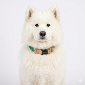 HONEY & EMERALD PRO GRIP COLLAR
