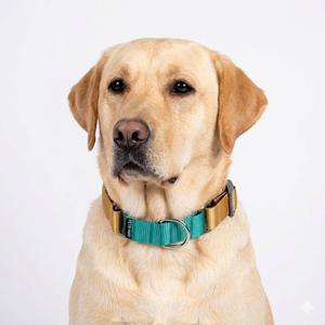 HONEY & EMERALD MARTINGALE COLLAR