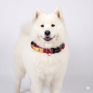 WINE & HONEY PRO GRIP COLLAR