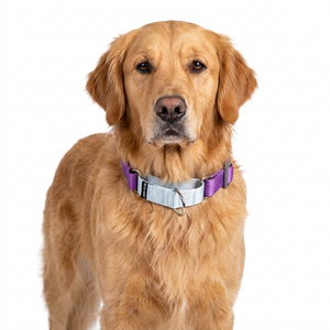AMETHYST & SKY MARTINGALE COLLAR