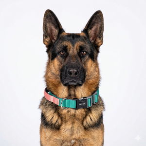 EMERALD & PEACH PRO GRIP COLLAR
