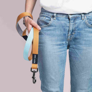 carry Honey Sky Dual Leash-petsway
