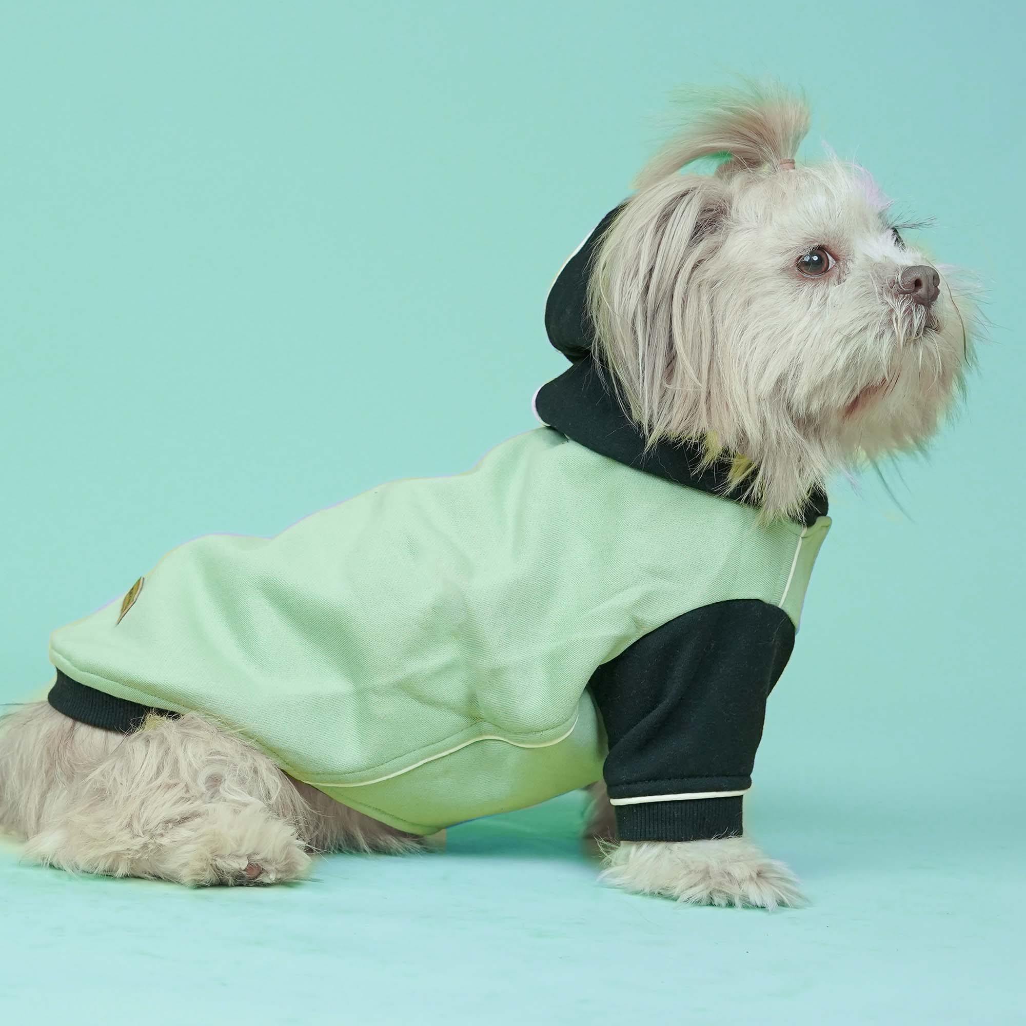 Snow Flake Dog Sweatshirt