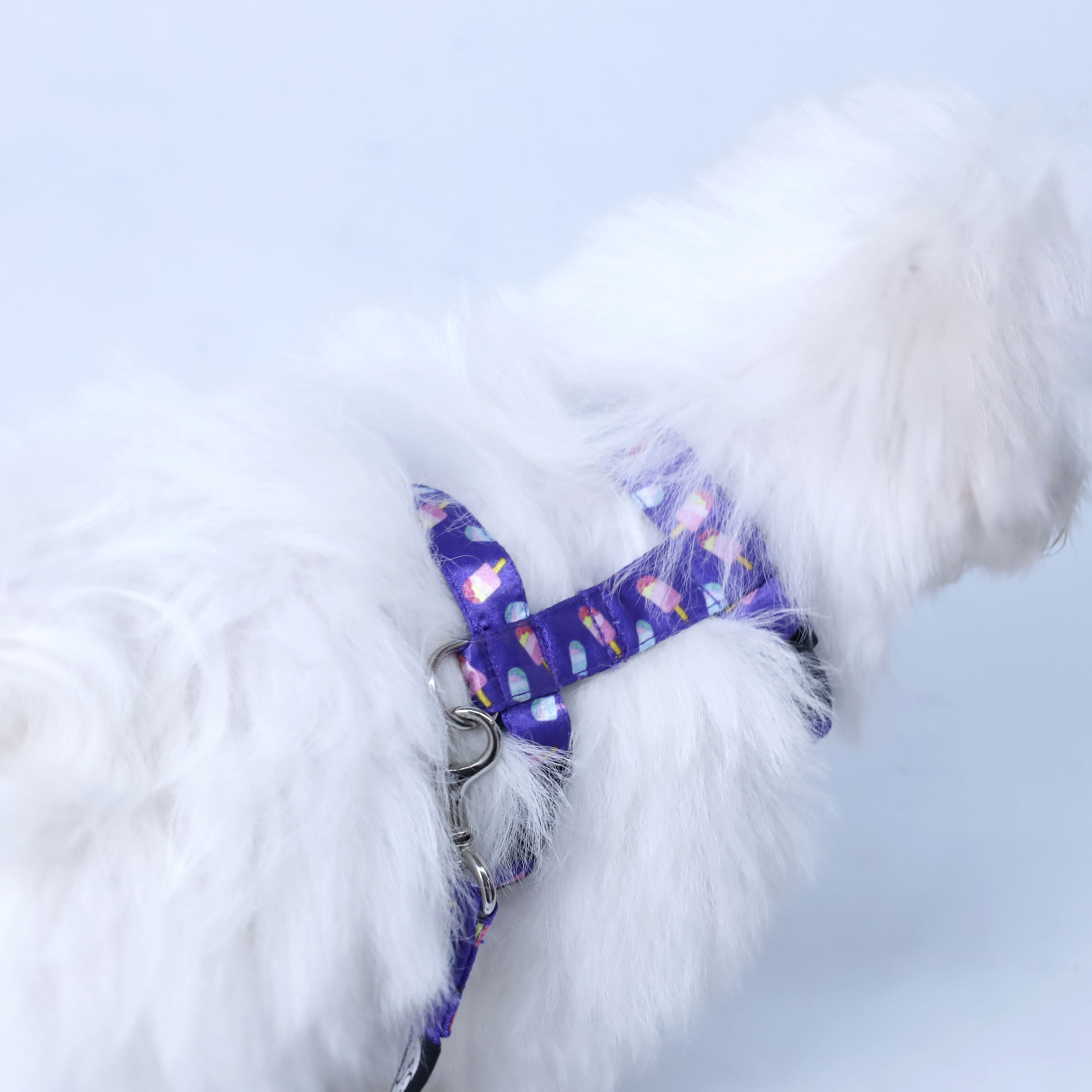 Candy Crush Puppy & Cat Harness