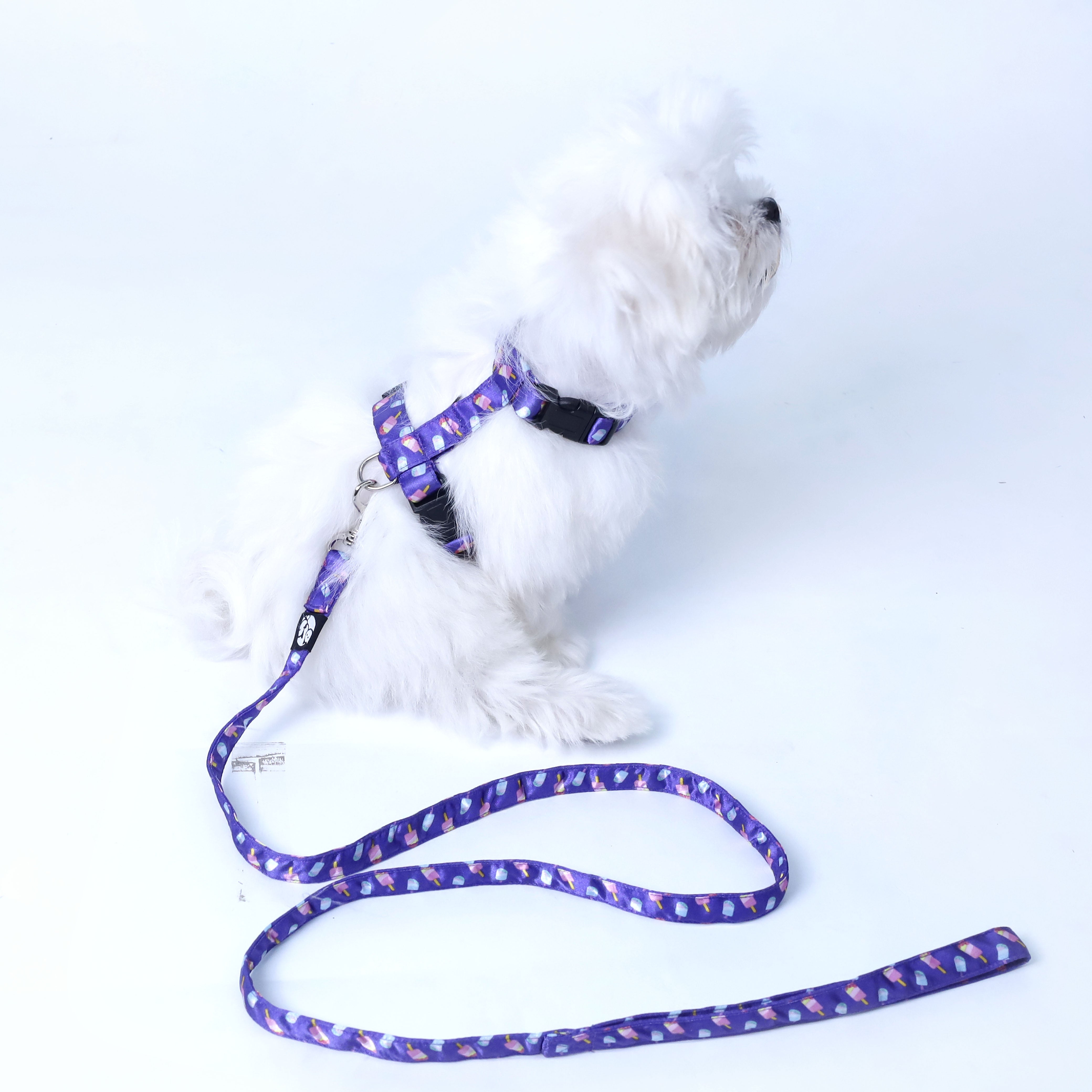 Candy Crush Puppy & Cat Collar Leash Harness Set