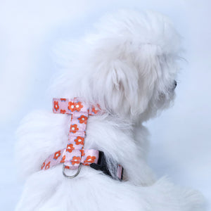 Pawfect Flower Puppy & Cat Collar Leash Harness Set