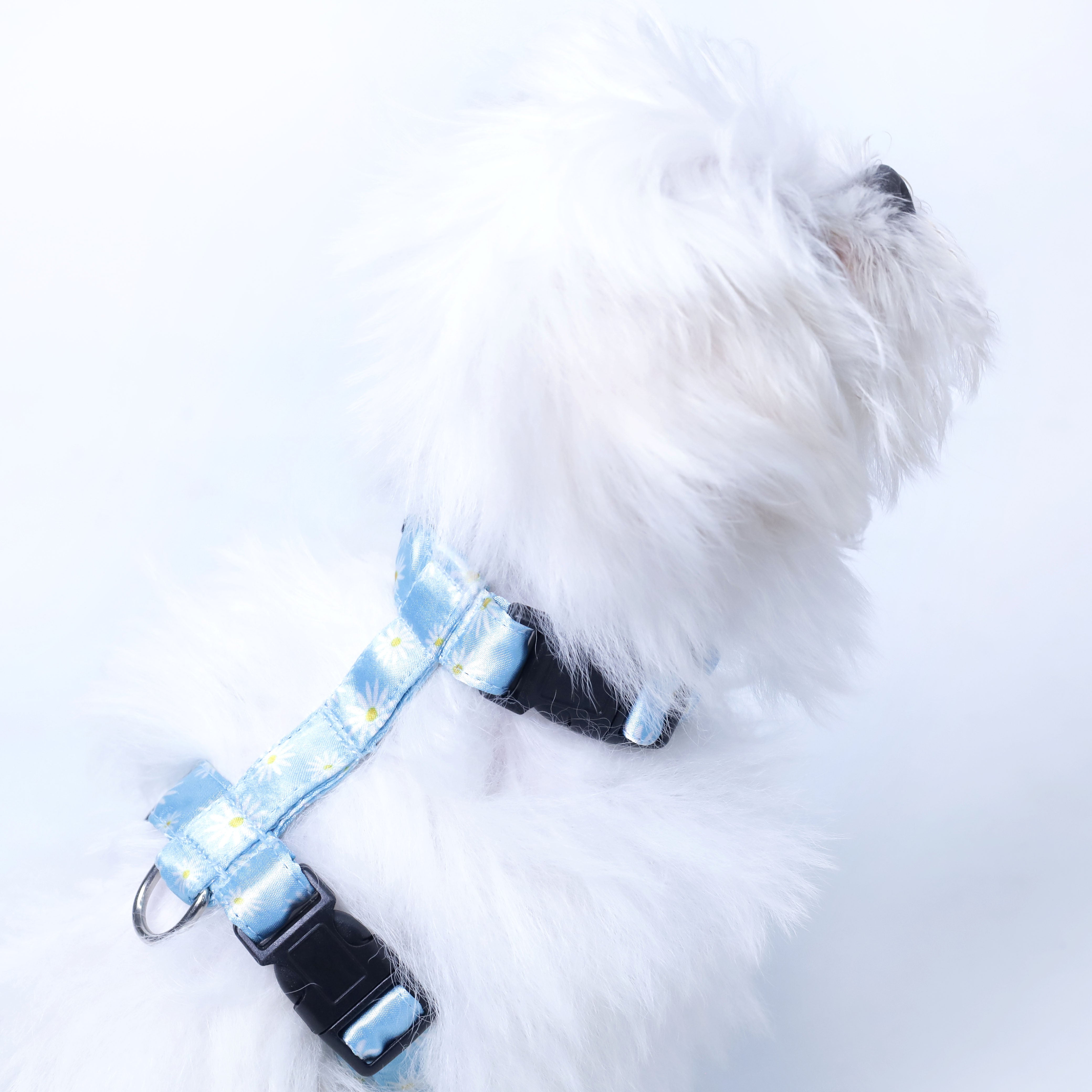 Petal Puppy & Cat Harness