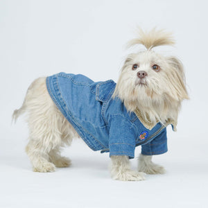 Paw-Gun Ice Blue Denim Dog Jacket