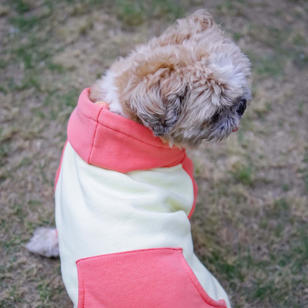 Adorable Icy Peak SweatShirt Petsway 