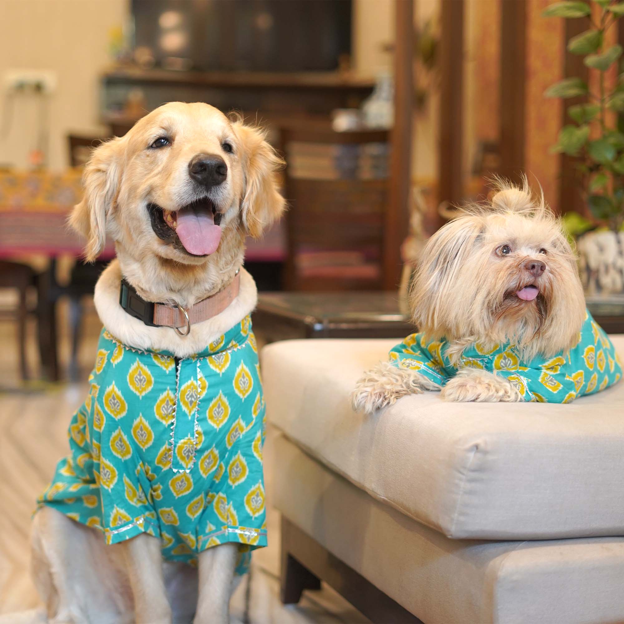 Ikat - Teal Dog kurta