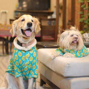 Ikat - Teal Dog kurta