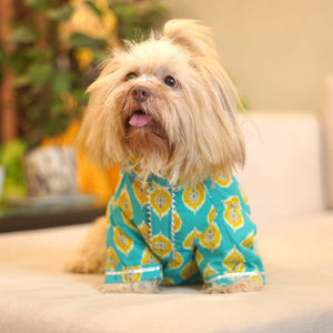 Ikat - Teal Dog kurta