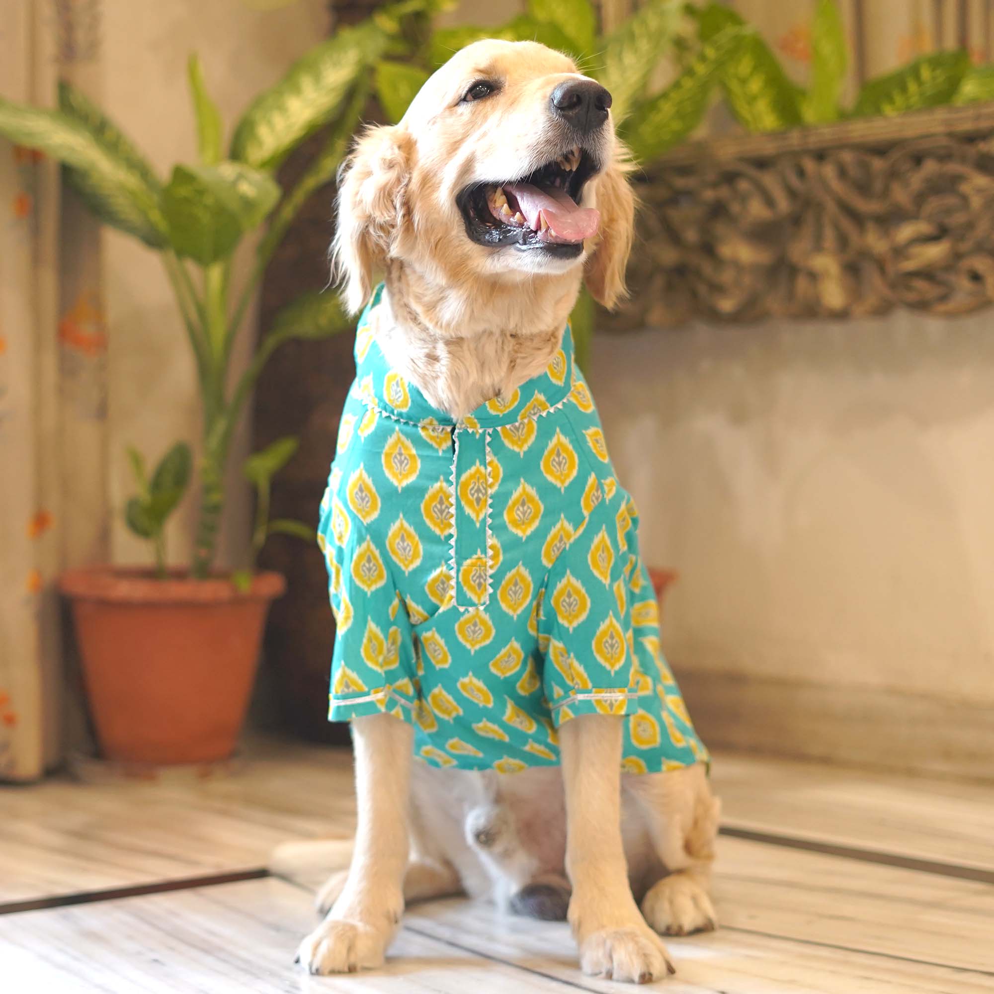 Ikat - Teal Dog kurta