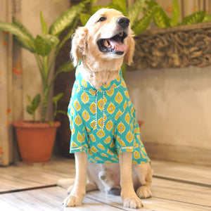 Ikat - Teal Dog kurta