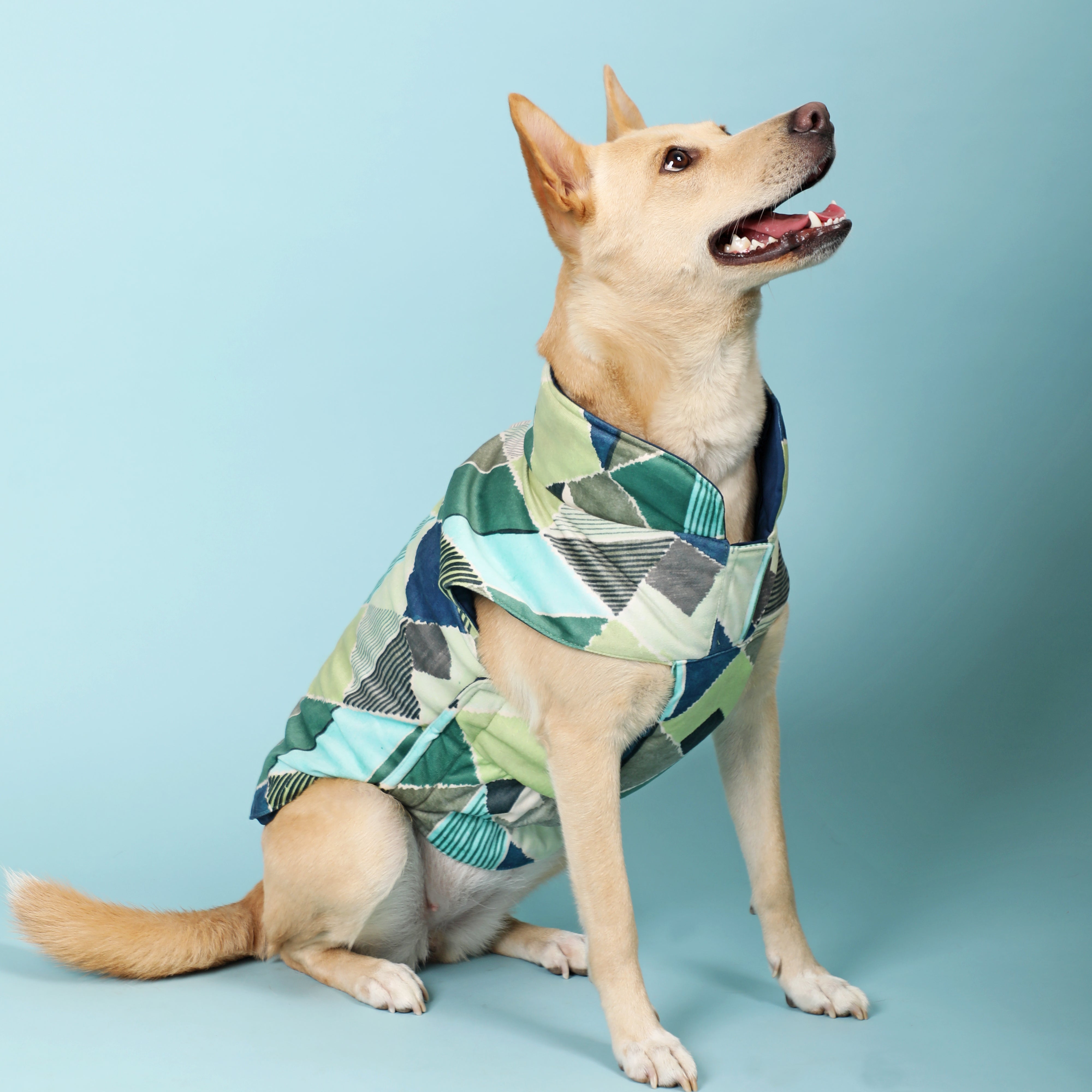 Puzzle Reversible Dog Jacket