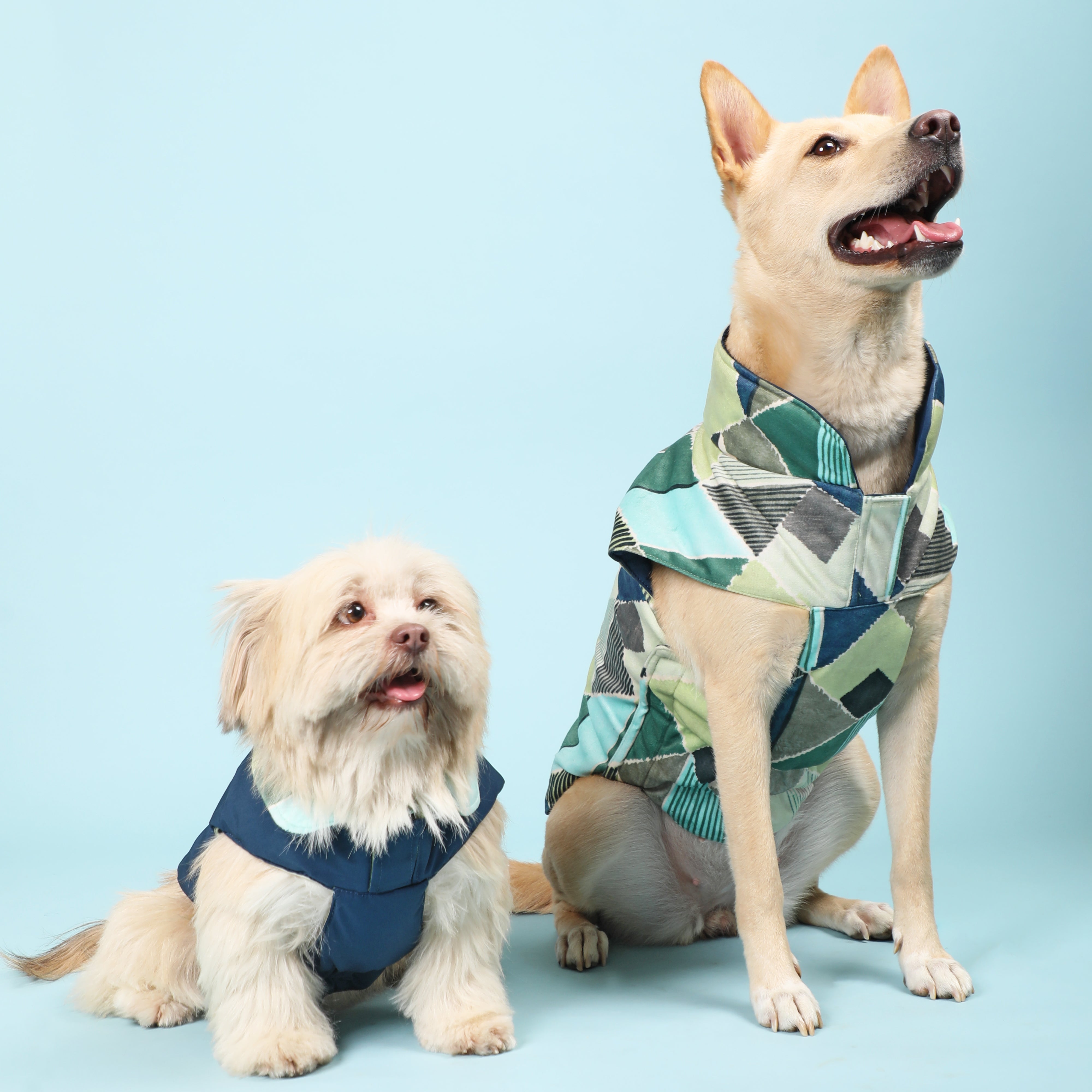 Puzzle Reversible Dog Jacket