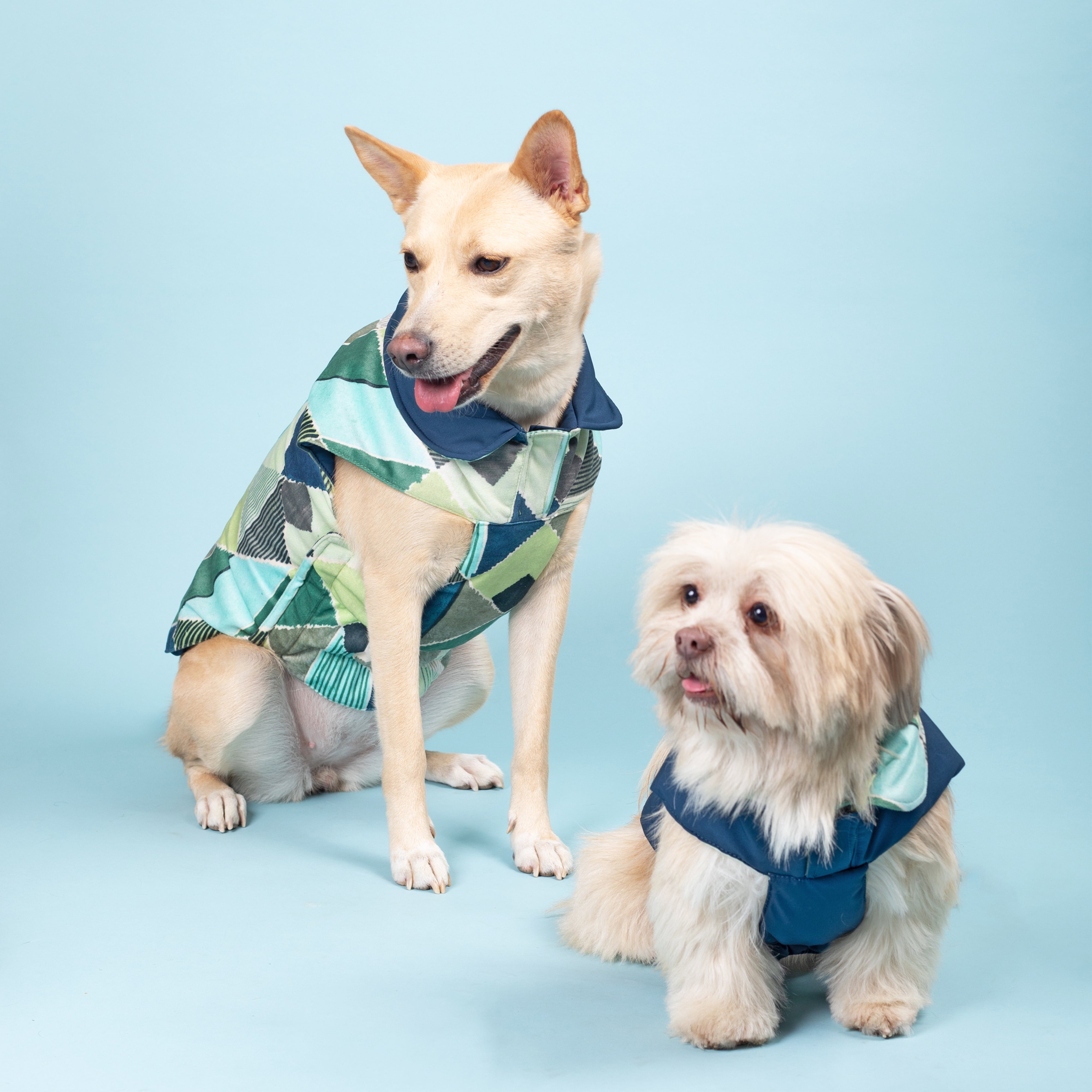 Puzzle Reversible Dog Jacket