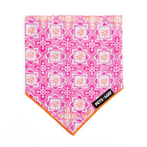 front of Luxurious Jaipur Bandana-petsway