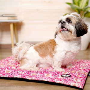 Anti skit pet mat petsway 