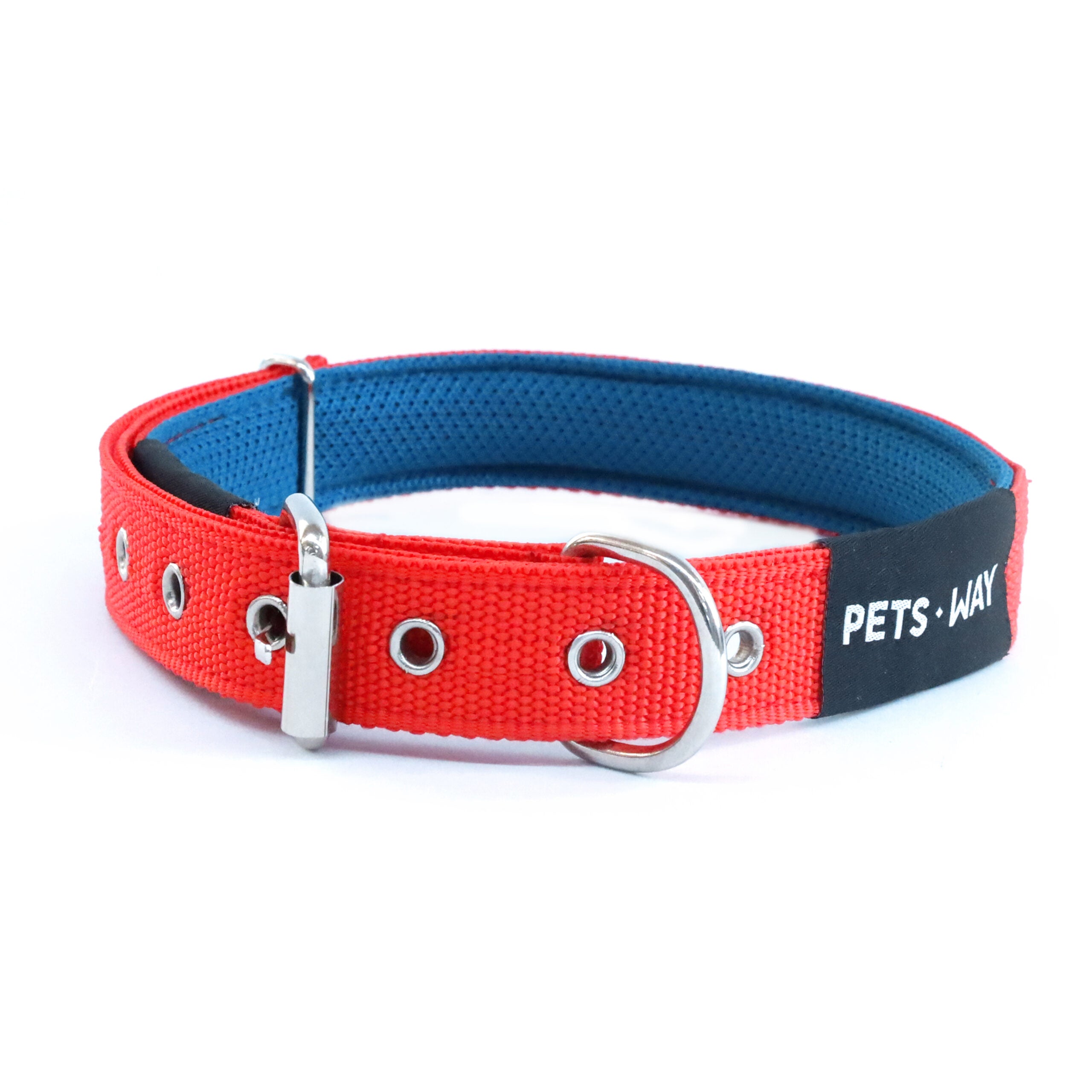 Jam Every Day Dog Collar