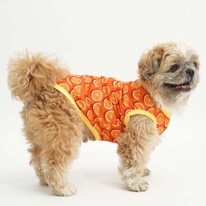 standing dog wear Juicy Printed Dog Vest-petsway